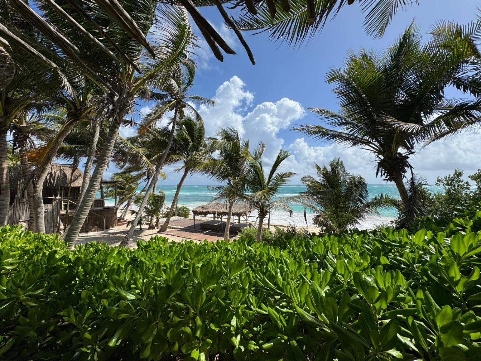 Art Village Tulum Exterior photo